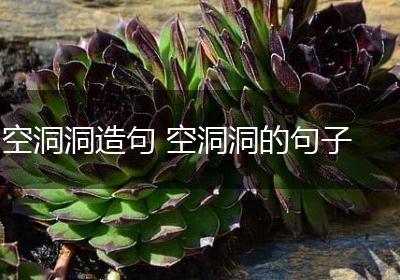 空洞洞造句 空洞洞的句子