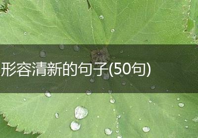 形容清新的句子(50句)