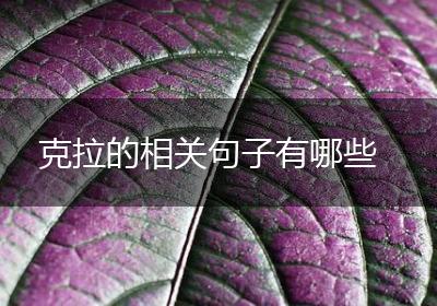 克拉的相关句子有哪些