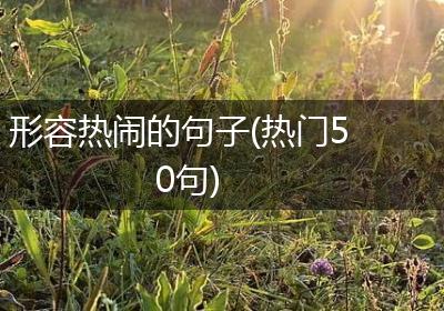 形容热闹的句子(热门50句)