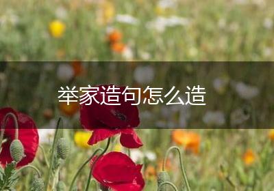 举家造句怎么造
