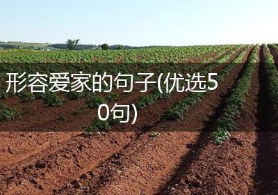 形容爱家的句子(优选50句)