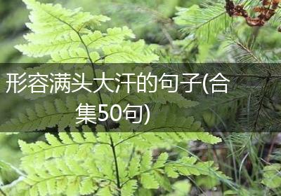 形容满头大汗的句子(合集50句)