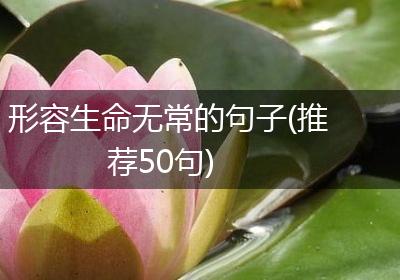 形容生命无常的句子(推荐50句)