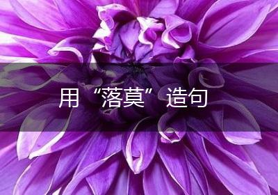 用“落莫”造句