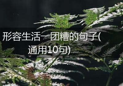 形容生活一团糟的句子(通用10句)