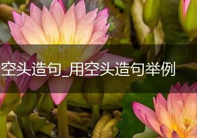 空头造句_用空头造句举例