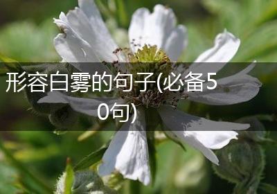 形容白雾的句子(必备50句)