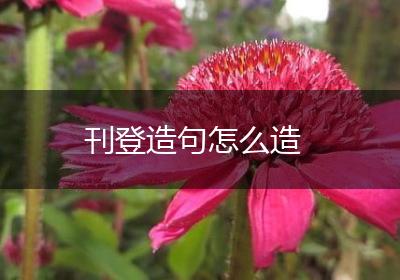 刊登造句怎么造
