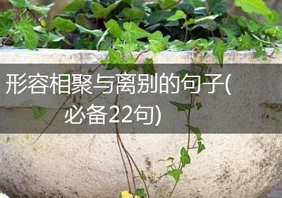 形容相聚与离别的句子(必备22句)