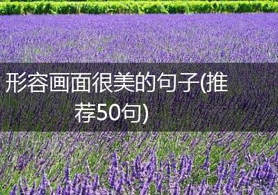 形容画面很美的句子(推荐50句)