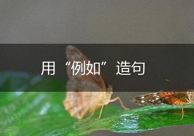 用“例如”造句