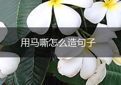 用马嘶怎么造句子
