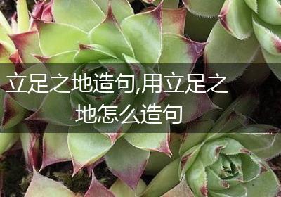 立足之地造句,用立足之地怎么造句
