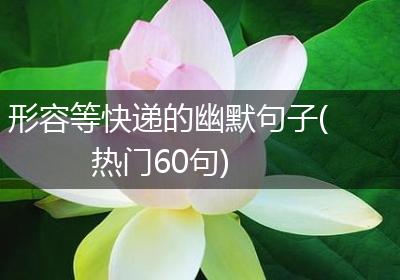 形容等快递的幽默句子(热门60句)