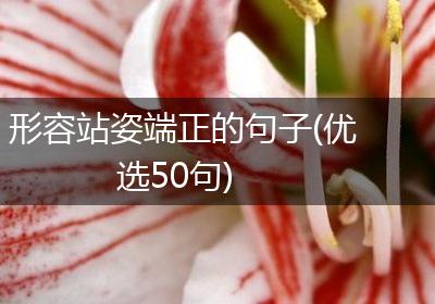 形容站姿端正的句子(优选50句)