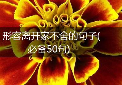 形容离开家不舍的句子(必备50句)