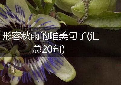 形容秋雨的唯美句子(汇总20句)