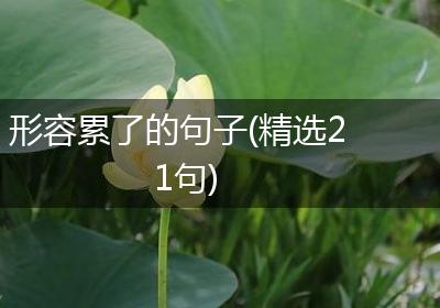 形容累了的句子(精选21句)