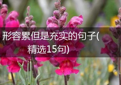 形容累但是充实的句子(精选15句)