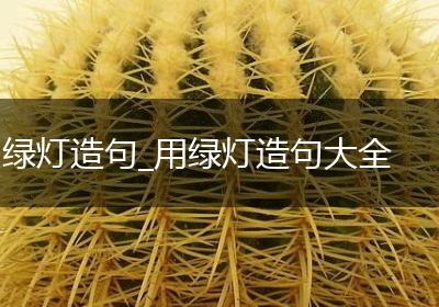 绿灯造句_用绿灯造句大全