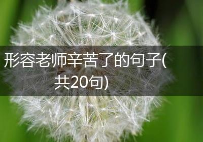 形容老师辛苦了的句子(共20句)