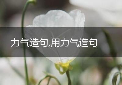 力气造句,用力气造句