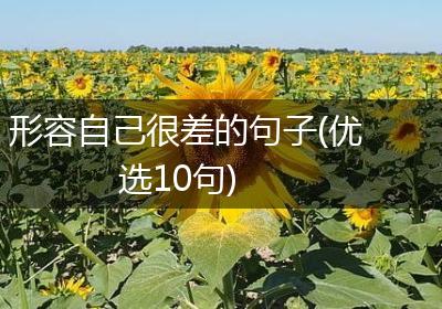 形容自己很差的句子(优选10句)