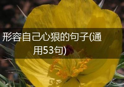形容自己心狠的句子(通用53句)