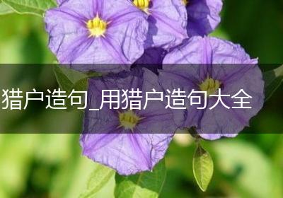 猎户造句_用猎户造句大全