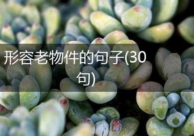形容老物件的句子(30句)