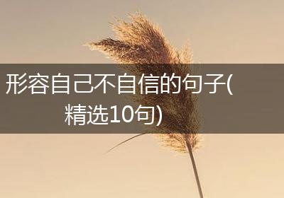 形容自己不自信的句子(精选10句)