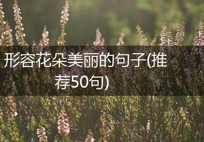 形容花朵美丽的句子(推荐50句)