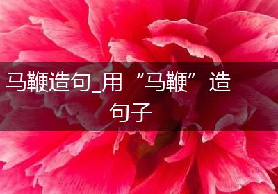 马鞭造句_用“马鞭”造句子