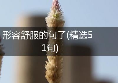 形容舒服的句子(精选51句)