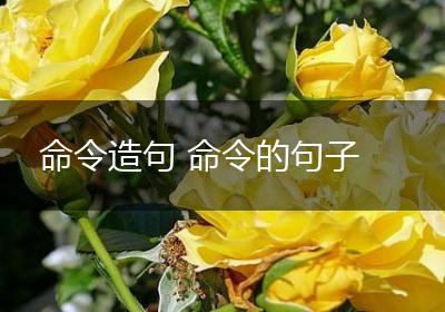 命令造句 命令的句子