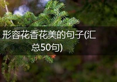 形容花香花美的句子(汇总50句)