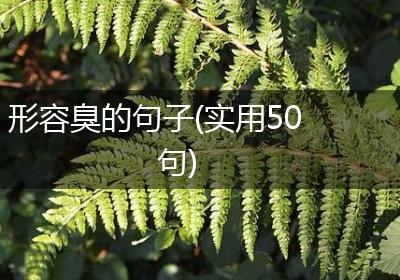 形容臭的句子(实用50句)