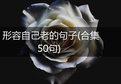 形容自己老的句子(合集50句)