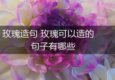 玫瑰造句 玫瑰可以造的句子有哪些