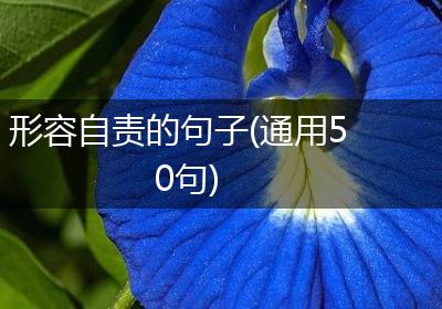 形容自责的句子(通用50句)
