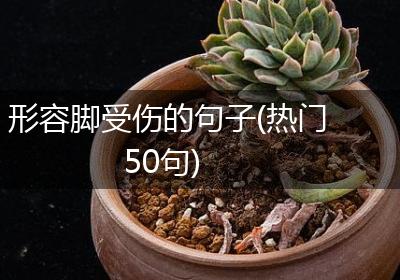 形容脚受伤的句子(热门50句)