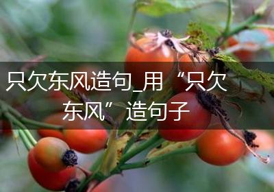 只欠东风造句_用“只欠东风”造句子