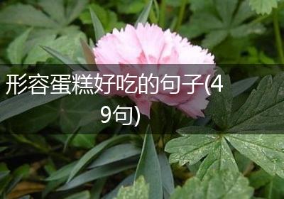 形容蛋糕好吃的句子(49句)