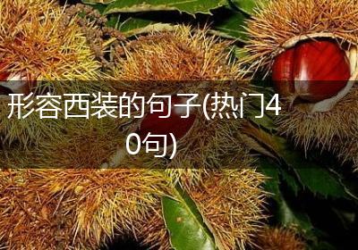 形容西装的句子(热门40句)