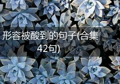 形容被酸到的句子(合集42句)