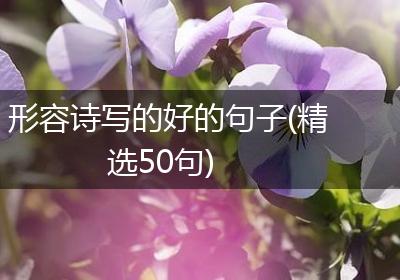 形容诗写的好的句子(精选50句)