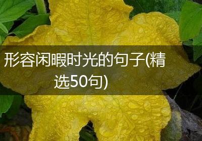 形容闲暇时光的句子(精选50句)