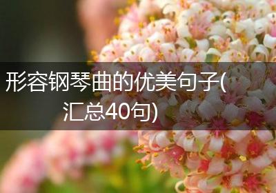 形容钢琴曲的优美句子(汇总40句)