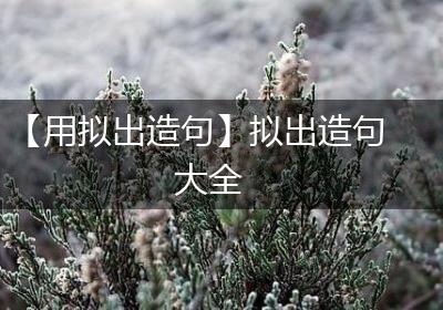【用拟出造句】拟出造句大全